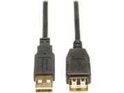 Tripp Lite U024010M USB Gold Extension Cable for USB
