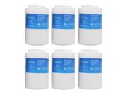 EcoAqua Replacement Water Filter Cartridge for GE GWF GWF01 GWF06 6 Pack