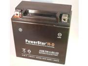 PowerStarH D 14 BS Replacement Battery for BMW F800S ST Models