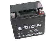 Shotgun®YTX5L BS High Performance Maintenance Free Sealed AGM Motorcycle Battery