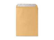Sparco Products Plain Self Sealing Envelope