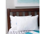 UPC 750105118819 product image for SealyPosturepedic Luxury PrimaLoft Support Pillow (Set of 2) | upcitemdb.com