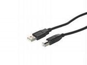 Cables To Go 28104 5M Usb 2.0 A B Cable Black