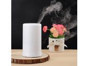 Aroma Diffuser 100ml Cool LED Aroma Therapy Aroma Diffuser Ultrasonic Humidifier Air Purifier for Bedroom Office Yoga Room SPA Shop Hotel etc.
