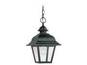 Sea Gull Lighting Single-light Bancroft Outdoor Pendant Fixture, Black - 6016-12