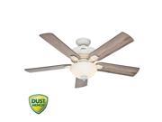 Hunter 54091 Matheston 52 5 Blade Outdoor Ceiling Fan Blades and Light Kit In