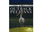 Outback Pelicans