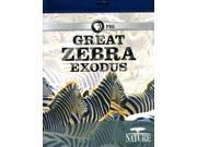Great Zebra Exodus