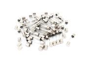 250V 20A Fast Quick Blow Glass Tube Fuses 6mm x 30mm 50 Pieces
