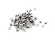 AC 250V 13A Fast Blow Acting Type Glass Tube Fuses 5mm x 20mm 50 Pcs