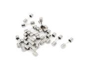 AC 250V 20A Quick Blow Acting Type Glass Tube Fuses 5mm x 20mm 20 Pcs