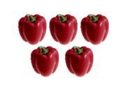 Unique Bargains Home Cabinet Table Desk Display Foam Craft Simulated Pepper Ornament Red 5 Pcs