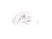 Anti Dust Cover Headset Charger Plug Ear Cap Stopper Clear 30 Sets