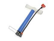 Bike Bicycle Cycling Floor Stand Schrader Presta Double Valve Air Inflator Pump