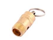 Air Compressor Safety Pressure Relief Valves Gold Tone 1 4BSP Male Thread