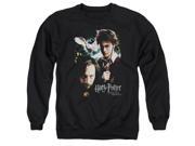 Harry Potter Harry And Sirius Mens Crew Neck Sweatshirt