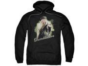 Harry Potter Dumbledore Wand Mens Pullover Hoodie