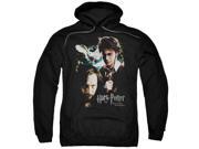 Harry Potter Harry And Sirius Mens Pullover Hoodie