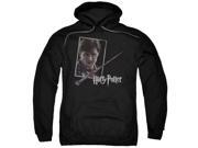 Harry Potter Harry'S Wand Portrait Mens Pullover Hoodie