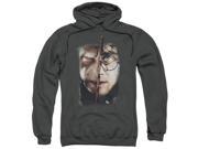Harry Potter It All Ends Here Mens Pullover Hoodie