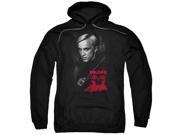 Harry Potter Draco Portrait Mens Pullover Hoodie