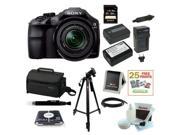 Sony ILCE-3000K ILCE-3000KB A3000 20. 1MP Interchangeable Lens Camera with 18-55mm Zoom Lens (Black) and Sony 64GB SD Card + 2 Addtional Wasabi Batteries and On