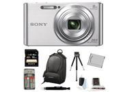 Sony DSCW830 DSCW830 W830 20.1 Digital Camera with 2.7-Inch LCD (Silver) 16GB Bundle