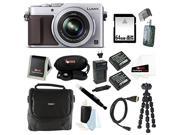 Panasonic LUMIX LX100 16.8 MP with Integrated Leica DC Lens Silver Bundle with 64GB SD Card Gadget Bag Two Replacement Batteries and Charger for Panasonic