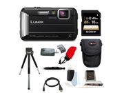 Panasonic DMC TS30K LUMIX Active Lifestyle Tough Camera Black with 16GB Accessory Bundle