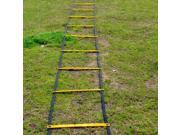 Durable 9 rung Agility Ladder for Soccer Speed Football Fitness Feet Training