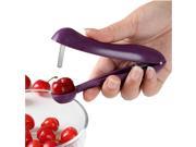 Handheld Stainless Steel Cherry Pitter Fruit Olive Core Remover