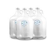 New Wave Enviro - 1 Gallon Glass Bottles - Case of 4