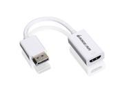 DisplayPort to HD Adp Cable
