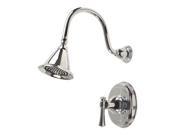 Torino Single Handle Shower Faucet Chrome