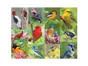 Birds of a Feather 500 Piece Jigsaw Puzzle