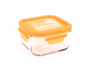 Wean Green Glass Lunch Cube, Carrot, 16 Oz