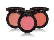 UPC 651986130276 product image for Too Faced Full Bloom Ultra Flush Powder Blush - Sweet Pink | upcitemdb.com