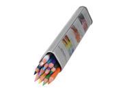 12 x Water Soluble Color Pencil Artists Graphite Graded Coloured Pencil Painting