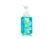 UPC 667534974582 product image for Bath & Body Works Gentle Foaming Anti-Bacterial Hand Soap Aqua Blossom 8.75 fl o | upcitemdb.com