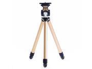 Fotopro FY-683 Stainless Steel Retractable Portable Tripod for Digital Camera (Black)
