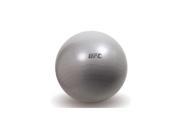 SPORTLINE UF3583GY 65cm Anti Burst Stability Ball