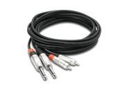 Hosa HPR 010X2 10 Ft. Dual 1 4 inch TS Male to Dual RCA Male Stereo Audio Cable