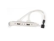 USB2.0 9Pin Header Female to Dual A Type Female Adapter Slot for PC