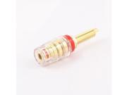 Audio Speaker Binding Post 5mm Cable Hole Dia Connector Gold Tone