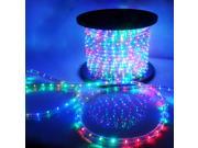 300 2 Wire 110V LED Rope Light RGB Yellow Red Green Blue Cool Warm White