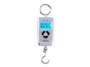 WH A05L 10 45kg 10g Portable LCD Digital Electronic Scale for Fishing Luggage