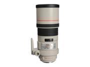 Canon EF 300mm f/4L IS USM Lens, Gray Market #2530A004 G