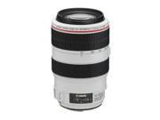 Canon EF 70-300mm f/4-5.6L IS USM Lens, Gray Market #4426B002 G