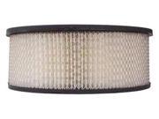 LUBERFINER AF5HD Air Filter Element Only 3 5 8in.H.
