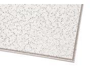 ARMSTRONG 703 Ceiling Tile 24 x 48 In 5 8 In T PK10